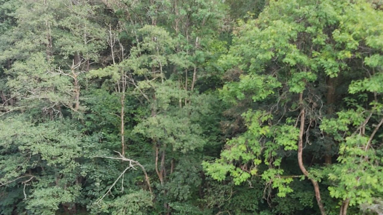 Wasserkraftwerk 3 Ausblick Wasserkraftwerk 3 Ausblick